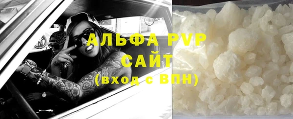 дмт Белокуриха