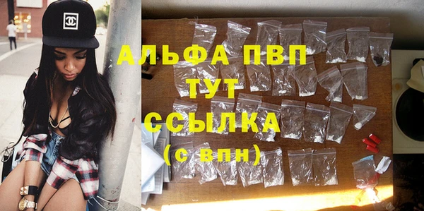 эйфоретик Беломорск
