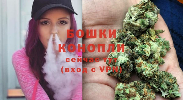 дмт Белокуриха