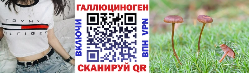 Галлюциногенные грибы Psilocybine cubensis  Юхнов 